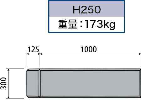 H250