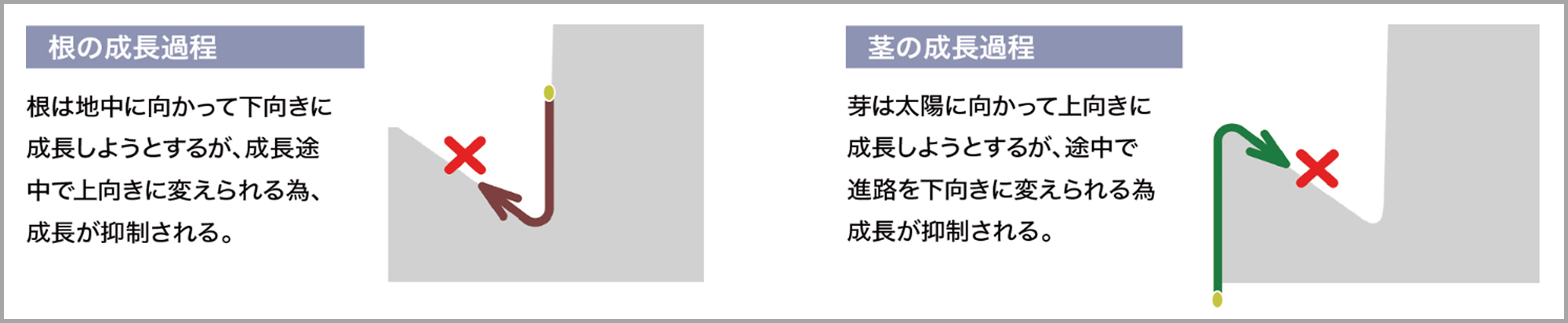 防草ブロック説明図